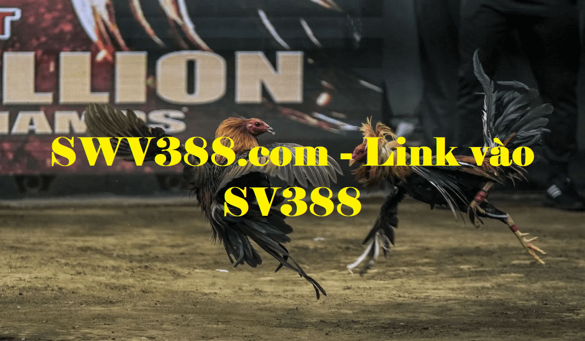 SWV388.com - Link vào nhà cái SV388 chính thức